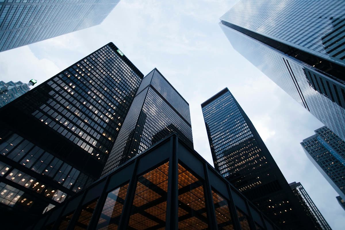US Business Formation